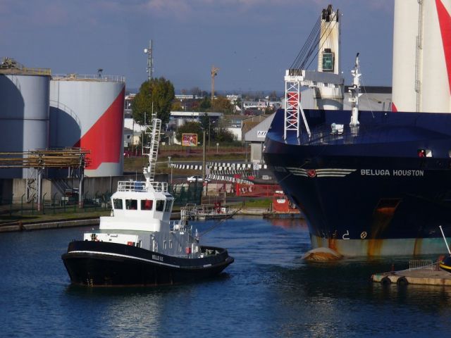 Belle ile - saint nazaire - 01 novembre 2010 (01).JPG